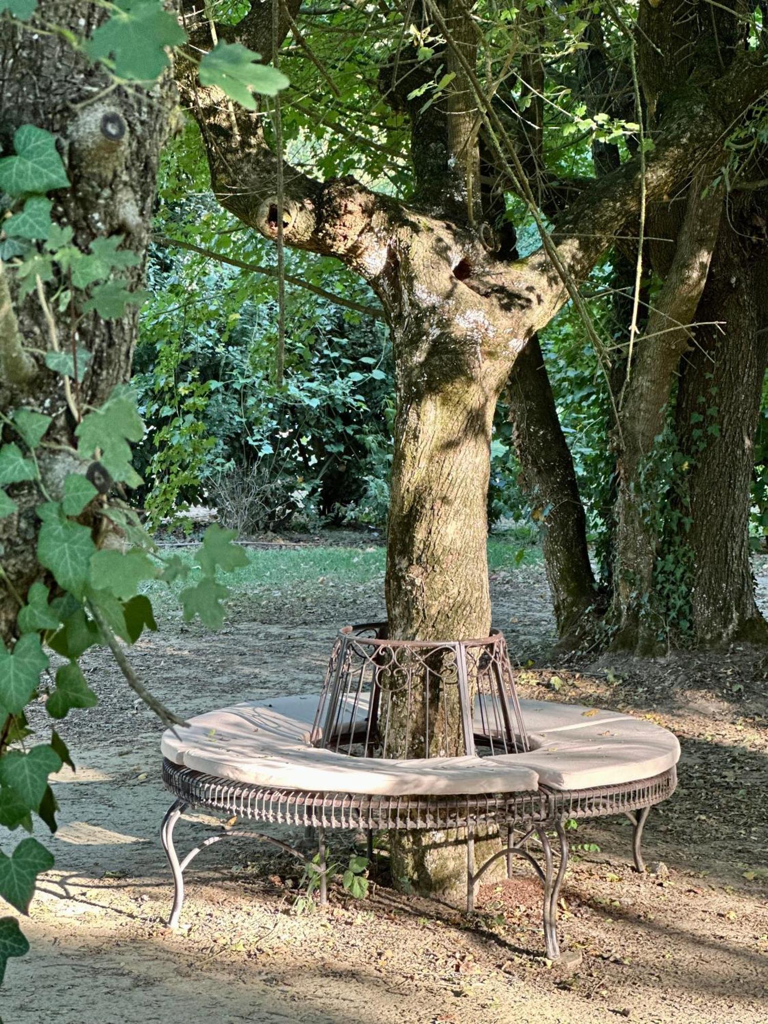 Casale La Gora - B&B Di Charme Figline Valdarno Luaran gambar